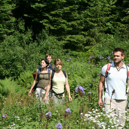 Wandern im Naturpark S�dschwarzwald