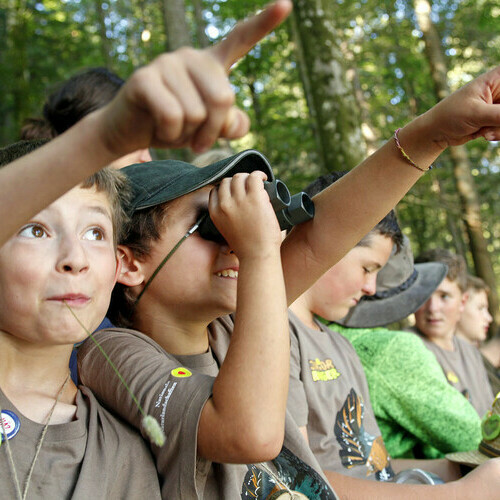 � Arnold Morascher / Biosph�rengebiet Schwarzwald