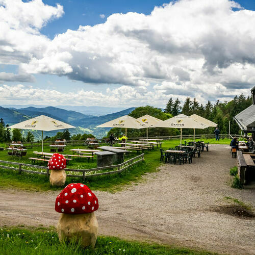 Dieses Foto zeigt die Sonnenterrasse des Almgasthaus Kn�pflesbrunnen mit dem Ausblick vom Kn�pflesbrunnen.