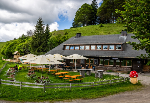 Dieses Foto zeigt das Almgasthaus Kn�pflesbrunnen mit deren Sonnenterasse