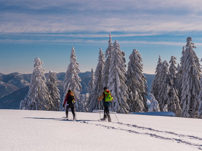 Beispielsbild aus der Kategorie "Winter in der Schwarzwaldregion Belchen" unseres  Pressebildarchivs
