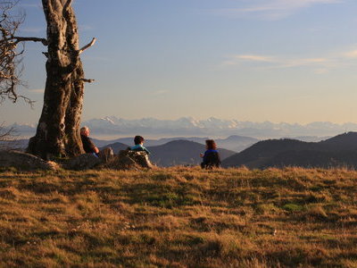 &copy; Werner Steiger