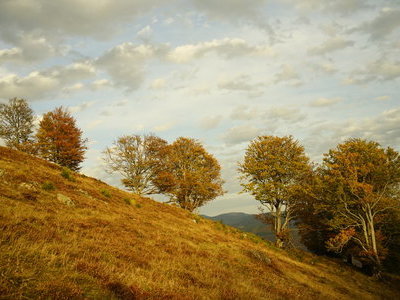 Beispielsbild aus der Kategorie "Herbst  in der Schwarzwaldregion Belchen" unseres  Pressebildarchivs