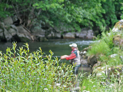 &copy; Schwarzwaldregion Belchen