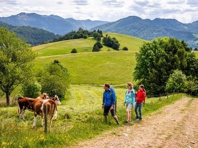 Beispielsbild aus der Kategorie "Aktivurlaub im Schwarzwald" unseres  Pressebildarchivs