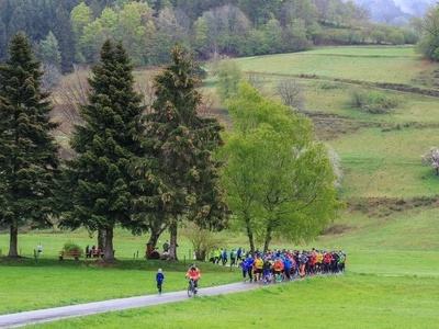 Wiesent�ler Wasserlauf am Feldberg 