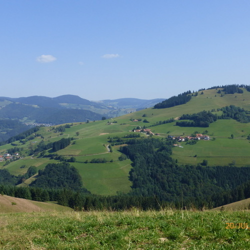 Blick auf die gr&uuml;nen Sommerwiesen und W&auml;lder von Fr&ouml;hnd  - 