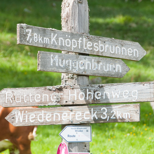 Wegweiser beim Fangkoppel/Ungendwieden - 