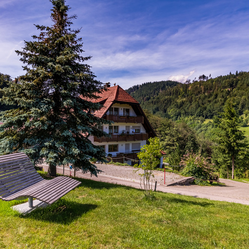 Himmelsliege neben einer Fichte im Hintergrund auf der gegen&uuml;berliegenden Stra&szlig;enseite das Haus Bauer und gr&uuml;ne W&auml;lder  - 