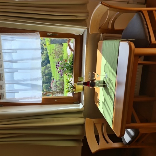 Au&szlig;blick vom Esstisch - 