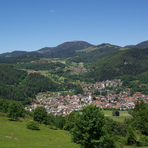 Blick zum Belchen - 