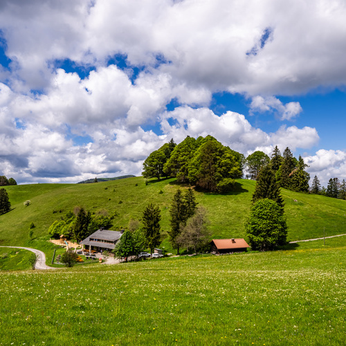 Das Almgasthaus Kn&ouml;pflesbrunnen umgeben von gr&uuml;nen Sommerweiden  - 