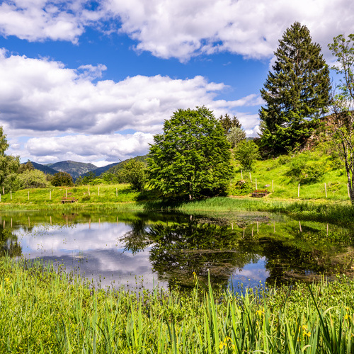 Der idyllische Letzbergweiher, oberhalb von Sch&ouml;nau. - 