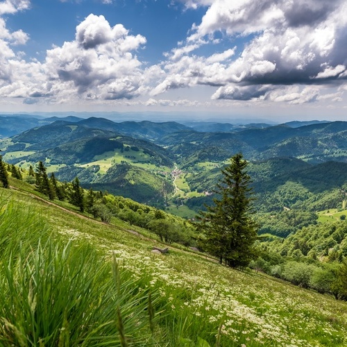 Blick vom Hausberg Belchen. - 